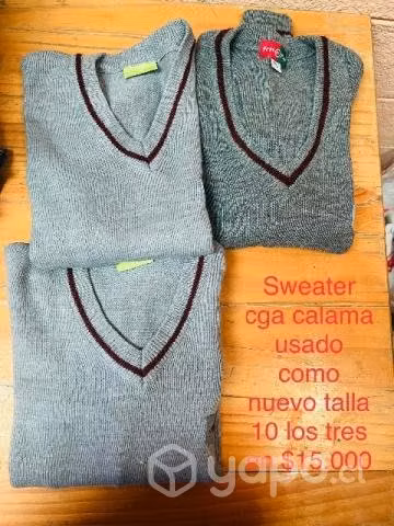 Ropa colegio cga Guadalupe ayquina calama