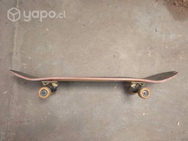 Skate usado