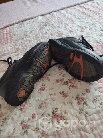 Zapatos de colegio