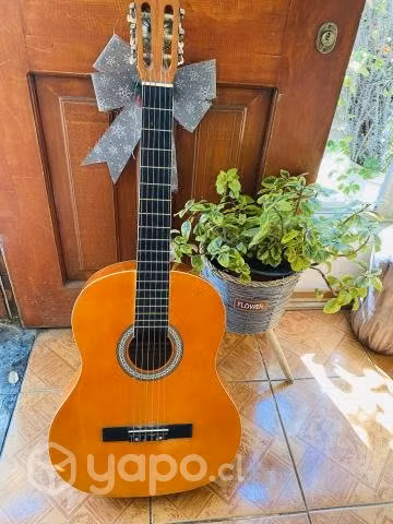 Guitarra acústica