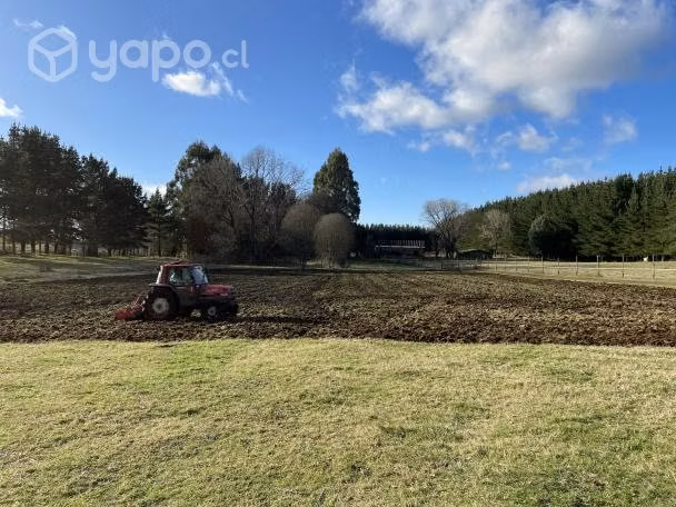 Corte de pasto