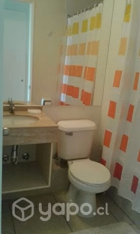 Departamento Laguna Vista, Algarrobo Temp. Baja