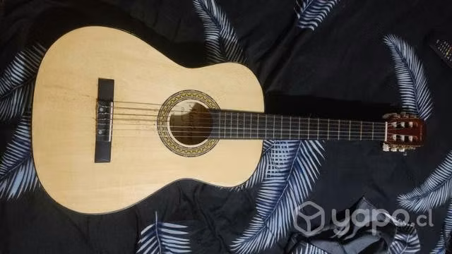 Guitarra maxtone - Imagen 2