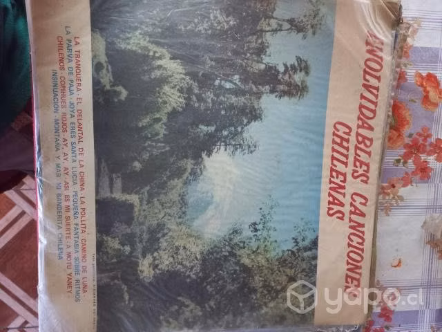 Vinilos