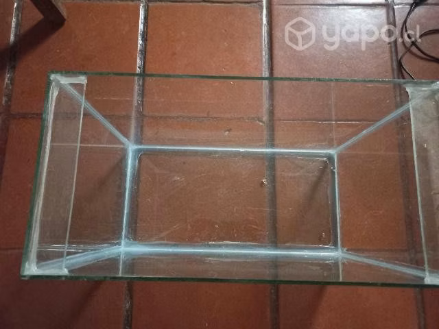 Pecera y accesorios