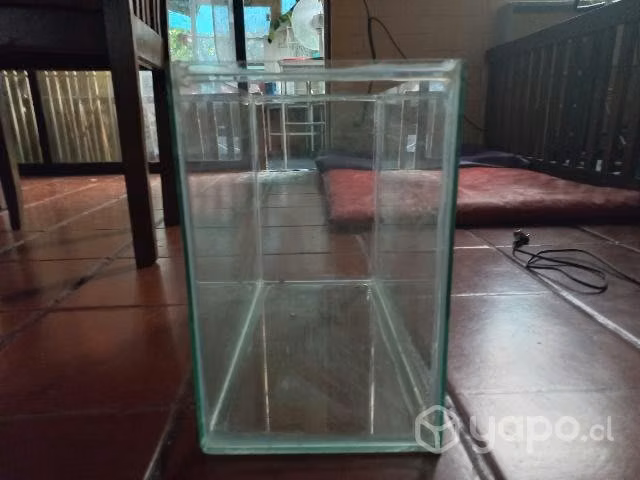 Pecera y accesorios