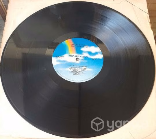 Vinilo de época Lynyrd Skynyrd - Imagen 3