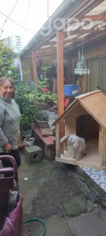 Casitas para perros - Imagen 2
