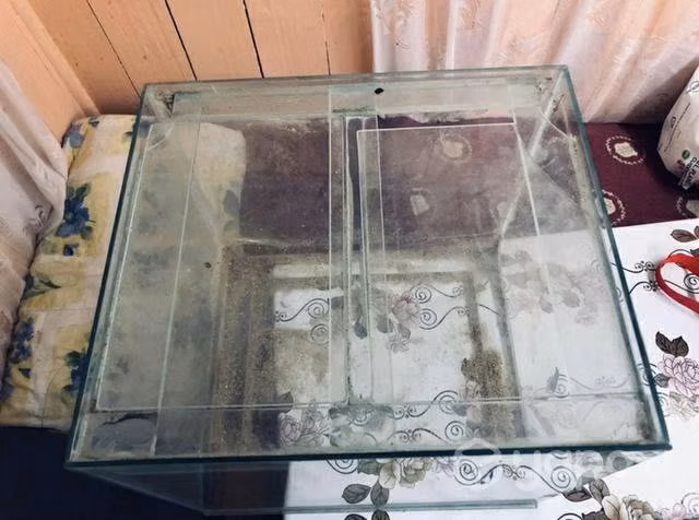 Acuario para peces - Imagen 3