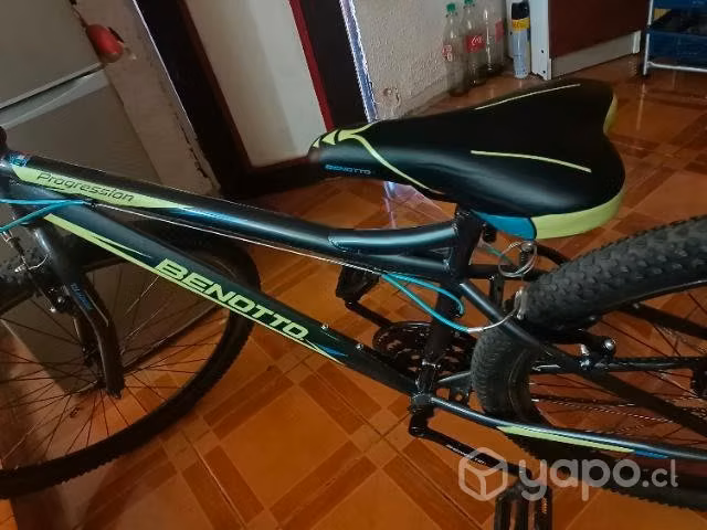 Bicicleta rin 29 . benotto