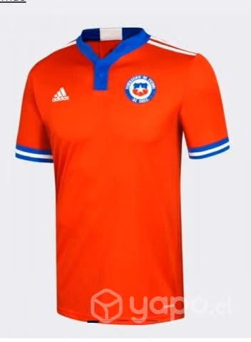 Camisetas  de calidad variedades - Imagen 4