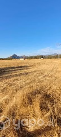 Parcela en Condominio Miravalles - Imagen 12