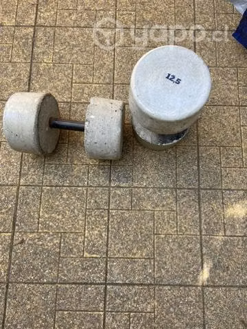 Mancuernas 12,5 kg