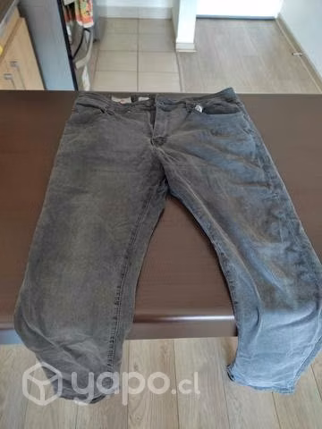 Pantalon robert lewis