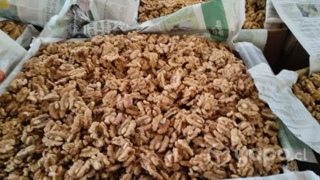 Nueces