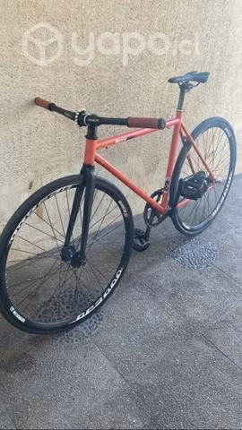 Fixie piñon fijo