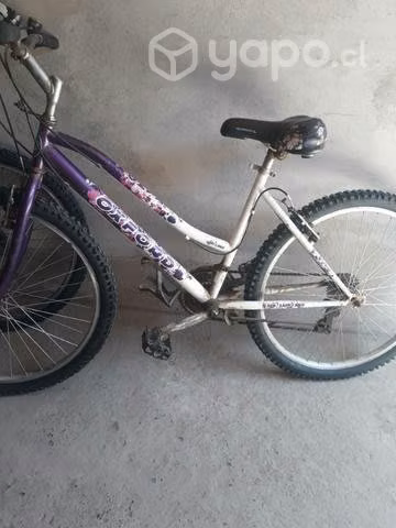 Linda bicicleta oxford aro 26