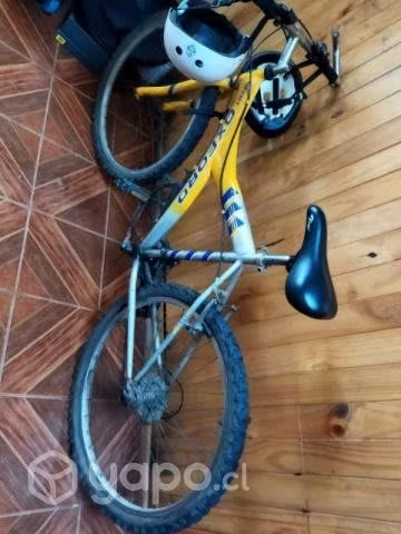 Bicicleta - Imagen 2