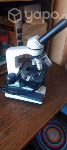 Microscopio