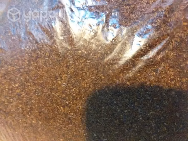Te rooibos