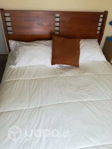 Cama
