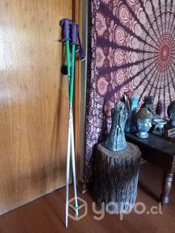 Palos de ski