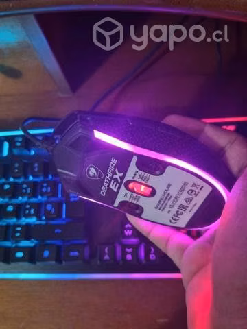 Setup Gamer