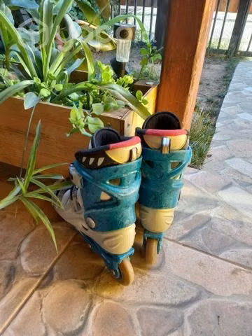 Patines carrera