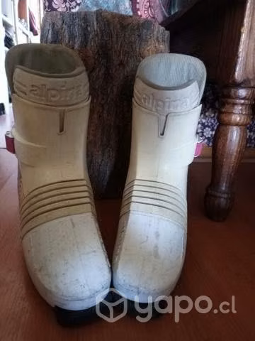 Botas de ski