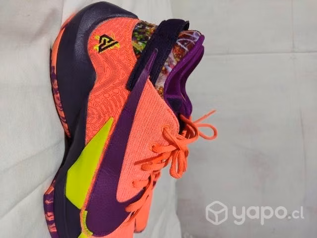 Zapatillas basket zoom freak 2