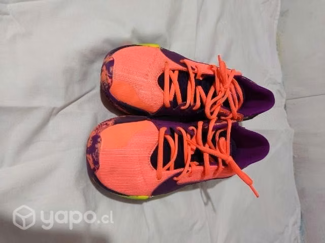 Zapatillas basket zoom freak 2