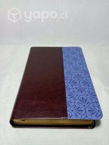 Biblia letra grande