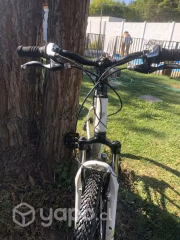 Trek skye nlnco aro 26