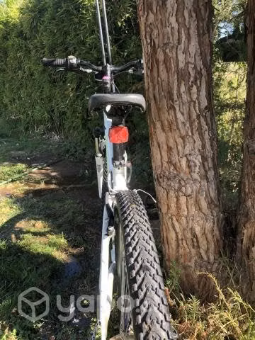 Trek skye nlnco aro 26