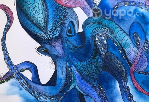 Cuadro Pulpo Marino - Imagen 2