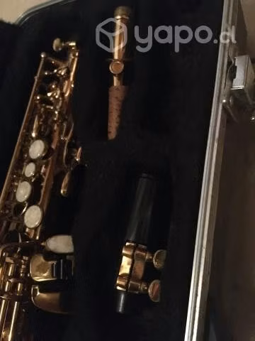 Saxofón soprano damaris