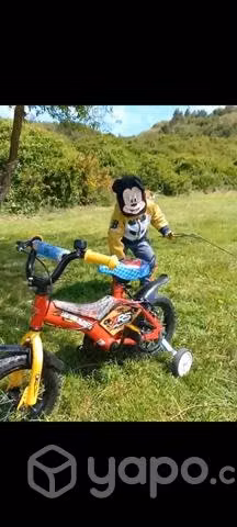 Bicicleta Rayo MC