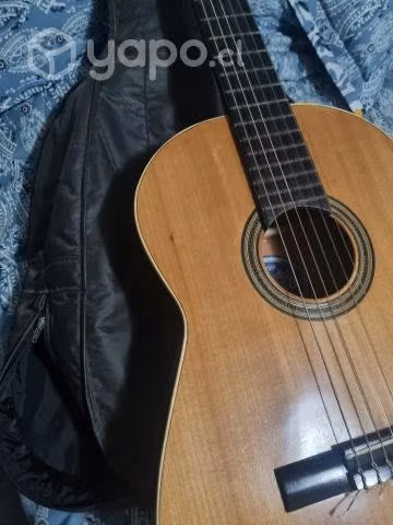 Guitarra TIZONA