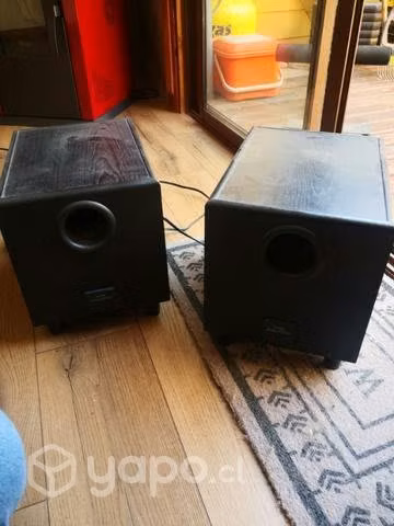 Parlantes pioneer