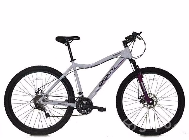 Bicicleta mujer