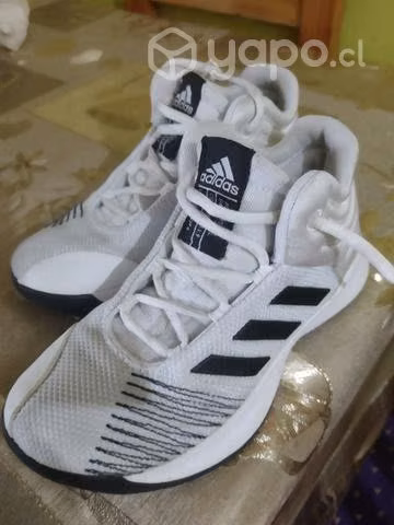 Zapatillas #31 poco uso