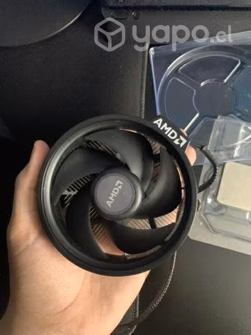 Amd 3 3100
