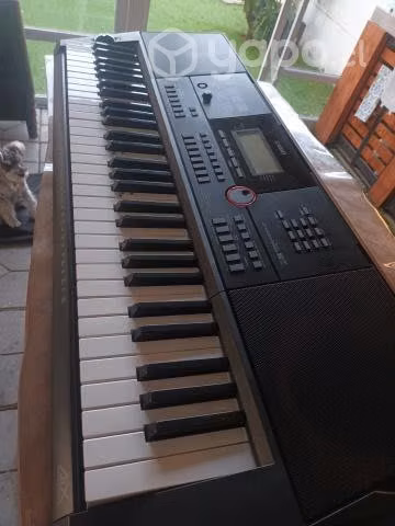 Teclado Casio CT X 3000