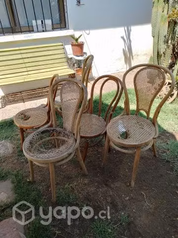 Silla veneciana para restaurar - Imagen 2