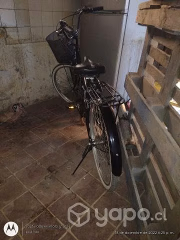 Bicicleta de paseo aro 28
