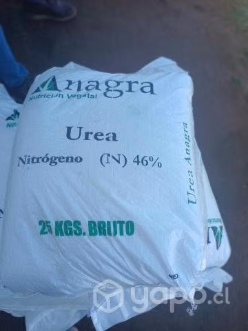 Abono - Imagen 2