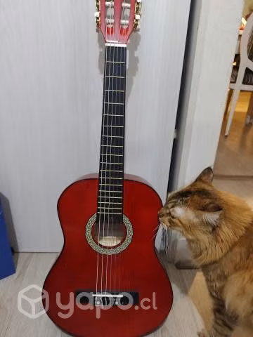 Guitarra acústica para principiantes o niños