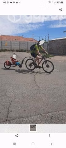 Carro bicicleta weehoo