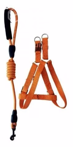 Kit Correa + Arnes Para Perros