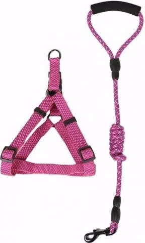 Kit Correa + Arnes Para Perros